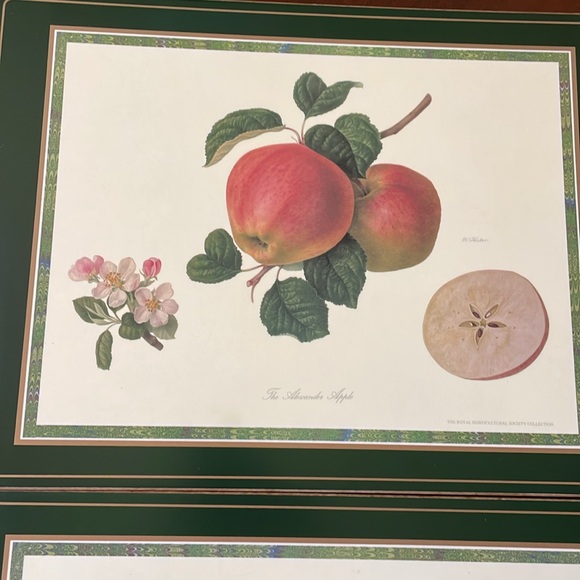 VTG PIMPERNEL Brunch Fruits Placemats Set of 3 Cork back Made in England - Picture 2 of 9